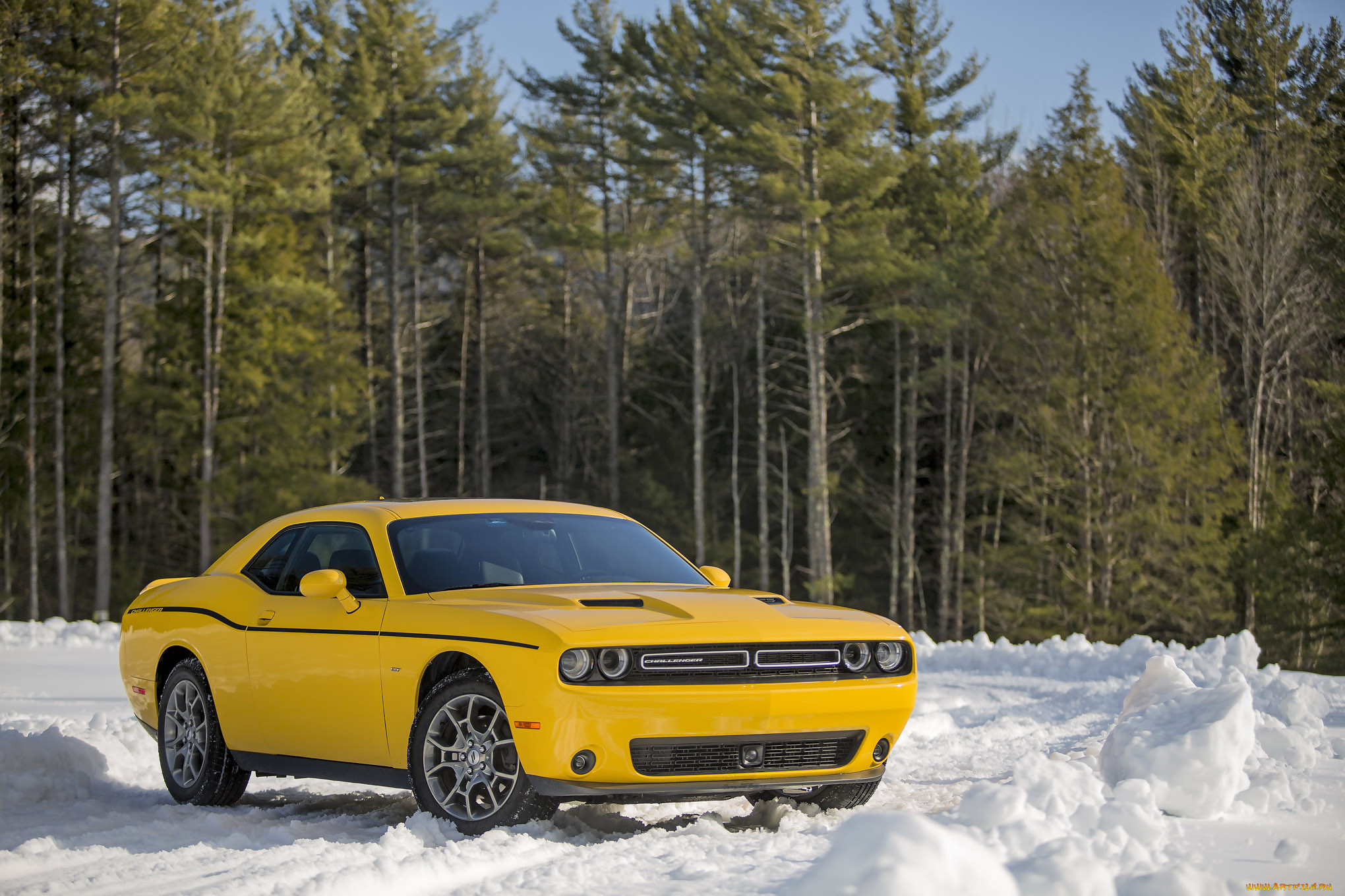 , dodge